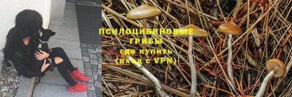 2c-b Алексин