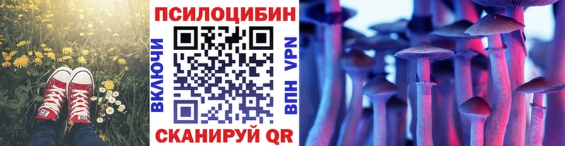кракен как войти  Орёл  Галлюциногенные грибы мицелий 